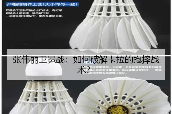 张伟丽卫冕战：如何破解卡拉的抱摔战术？