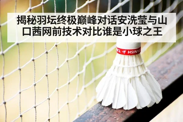 badminton net play